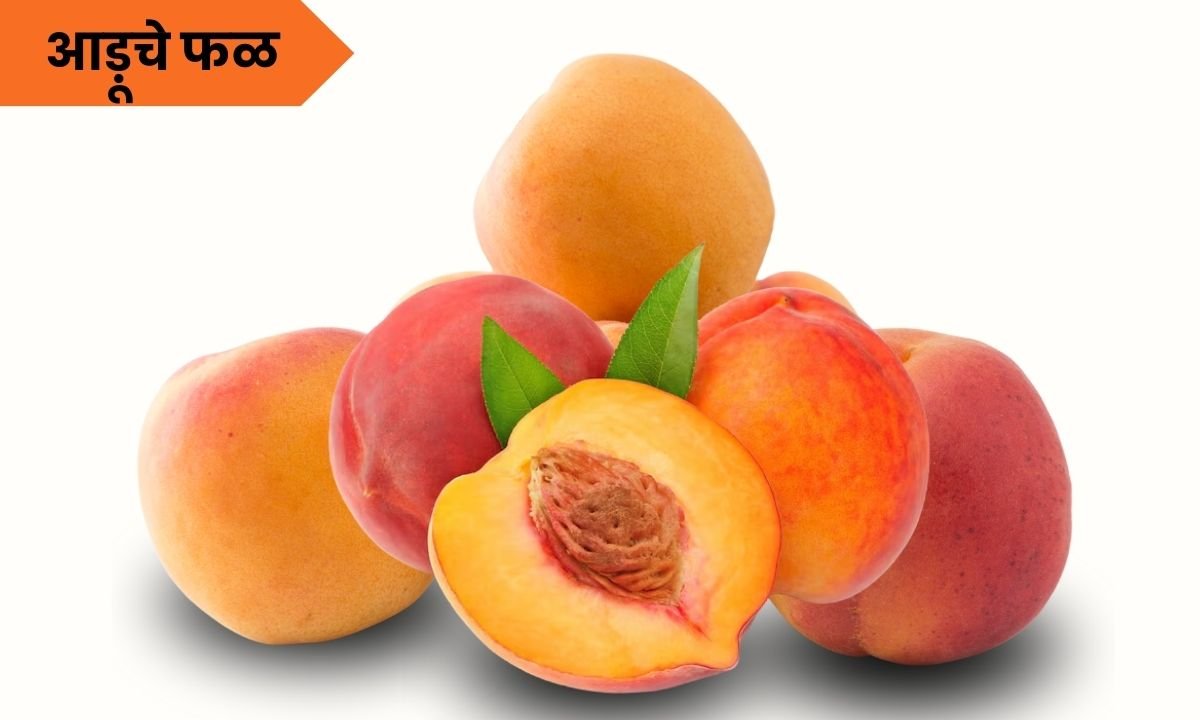 आड़ू फळाची संपूर्ण माहिती: Peach Fruit in Marathi