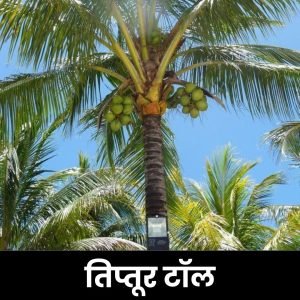 तिप्तूर टॉल