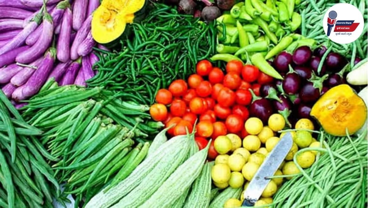 Profitable Farming: मान्सूनमध्ये कमी खर्चात जास्त नफा देणारी शेती: या तीन भाज्या लावून कमवा बंपर उत्पन्न