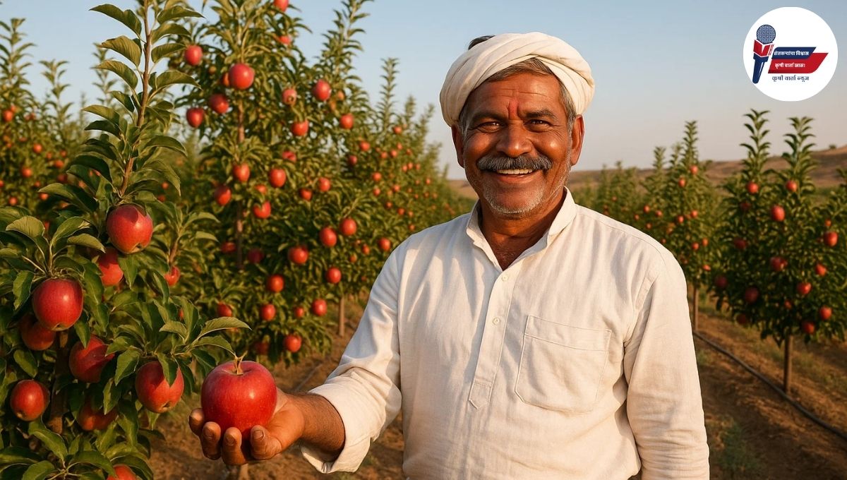 Apple Sheti Success Story: बीडच्या कोरडवाहू जमिनीत रुजलं सफरचंदाचं स्वप्न: वाचा विठ्ठल गर्जेंची सफरचंद शेतीची प्रेरणादायी यशोगाथा!