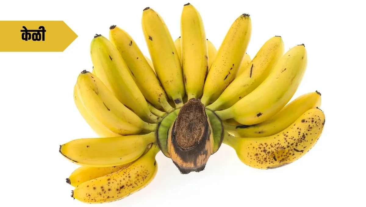 Banana Health Benefits in Marathi: केळीचे आश्चर्यकारक आरोग्य फायदे; रोजच्या आहारात समाविष्ट करा आणि फिट राहा!
