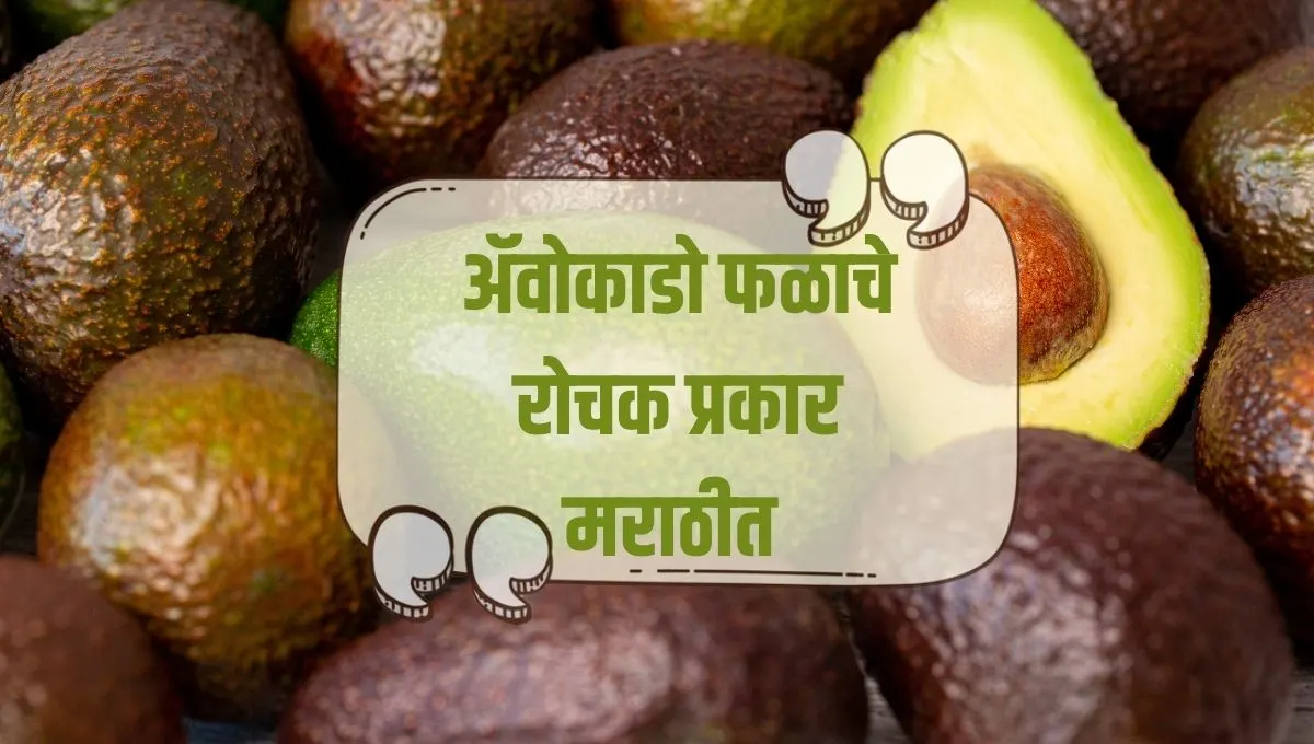 Different Types of Avocado: अ‍ॅवोकाडो फळाचे रोचक प्रकार मराठीत सविस्तर जाणून घ्या!
