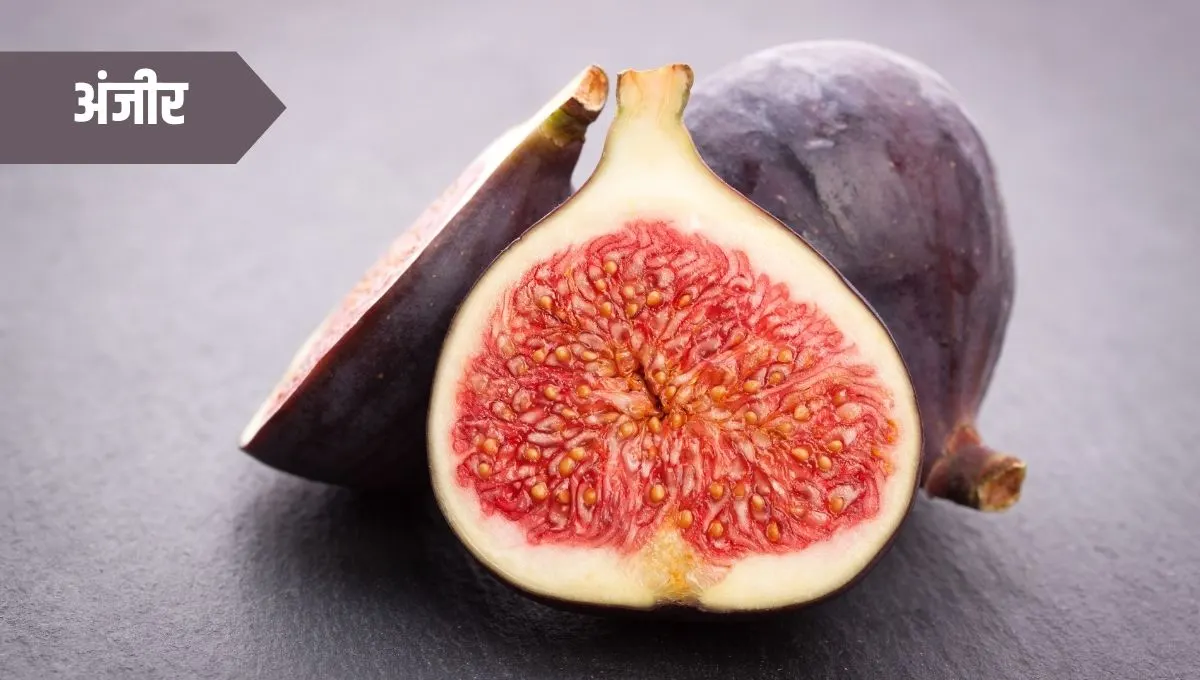 Health Benefits of Fig in Marathi: अंजीर खाण्याचे आरोग्यदायी फायदे आणि पोषणमूल्य