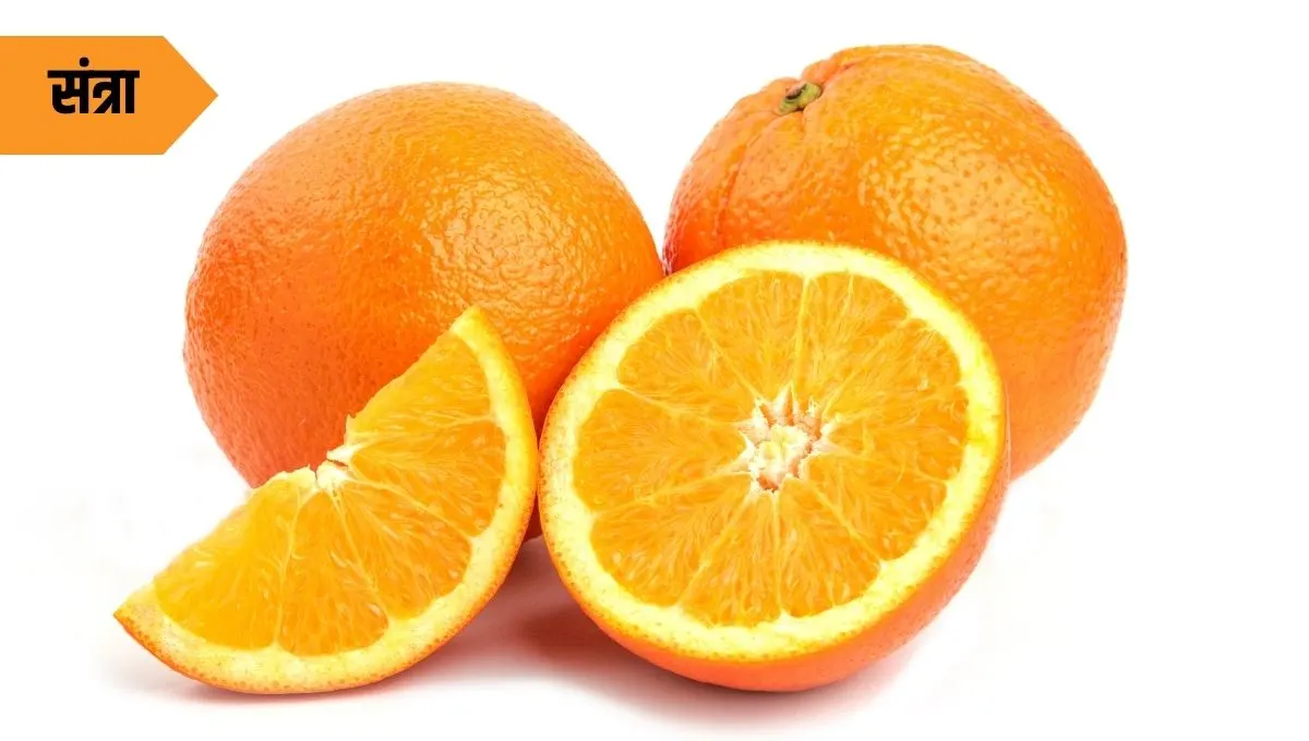 Health Benefits of Orange: संत्र्याचे आरोग्यदायी फायदे; रोजच्या जीवनात चमत्कार करणारे फळ!