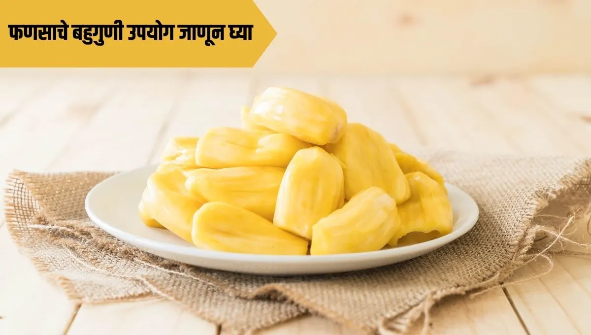Jackfruit uses in marathi: फणसाचे बहुगुणी उपयोग- जाणून घ्या आरोग्य, पाककृती आणि सौंदर्यातील जादूई फायदे