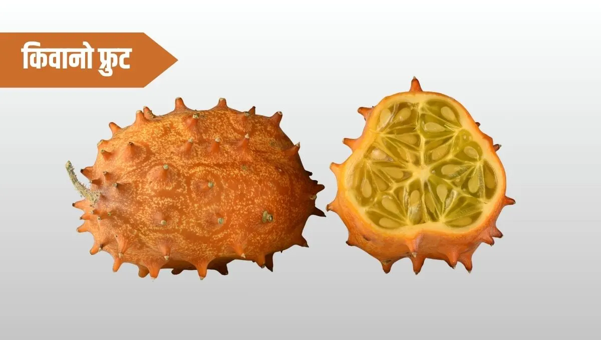 Kiwano Fruit in Marathi: किवानो फळाची संपूर्ण माहिती