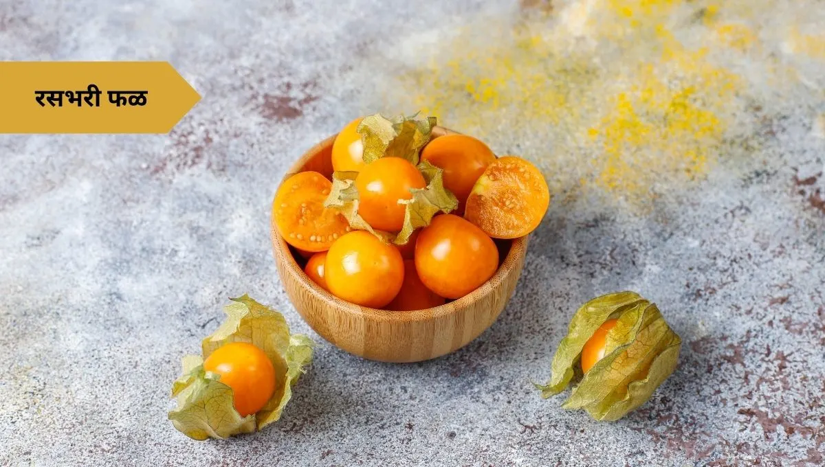 Health Benefits of Physalis Fruit: रसभरी फळाचे फायदे, पौष्टिकता आणि उपयोग यांचा खजिना