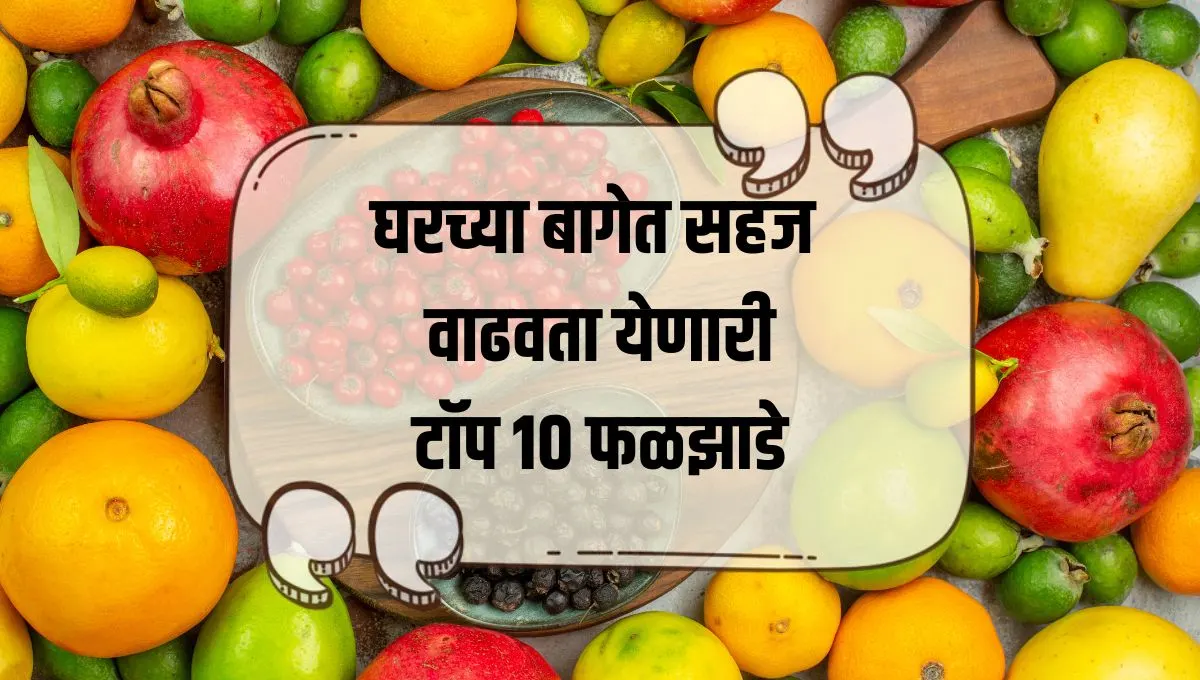Top 10 Fruits to Grow in a Garden: घरच्या बागेत सहज वाढवता येणारी टॉप १० फळझाडे – ताजी फळे आणि आरोग्यासाठी उत्तम पर्याय!