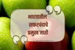 Types of Apple in India: भारतातील सफरचंदाचे विविध प्रकार, उत्तम जाती निवडून शेतीत यश मिळवा!