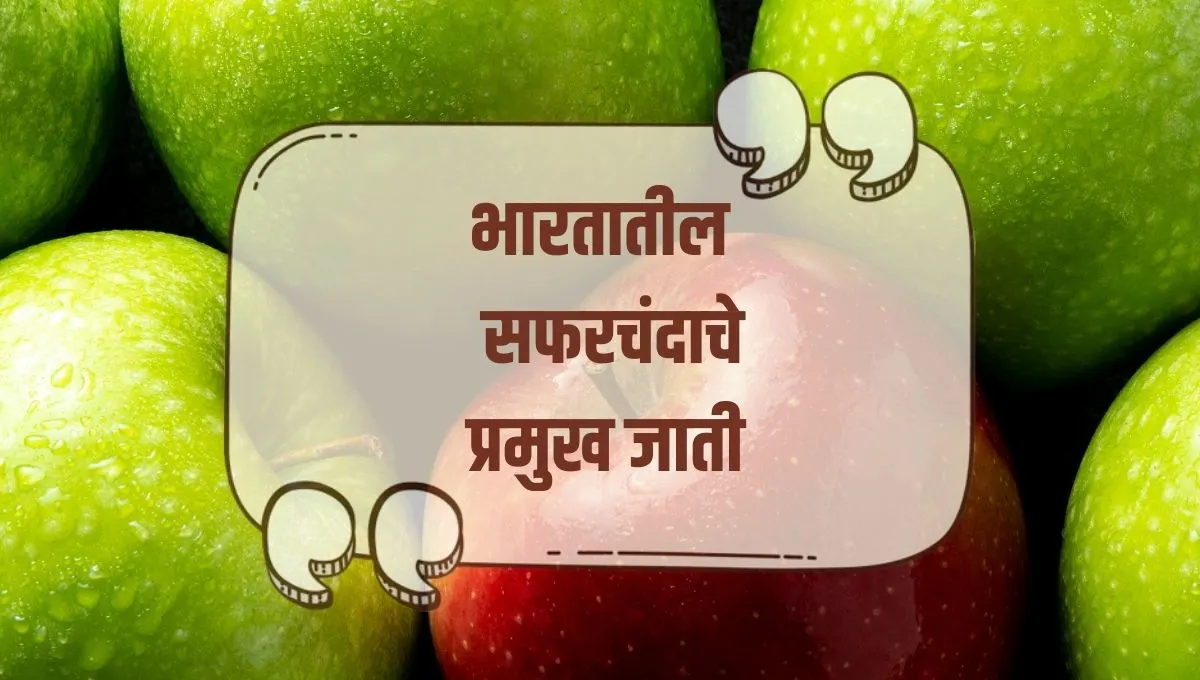 Types of Apple in India: भारतातील सफरचंदाचे विविध प्रकार, उत्तम जाती निवडून शेतीत यश मिळवा!