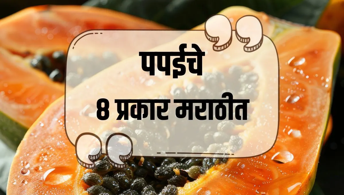 Types of Papaya in India: पपईचे 8 प्रकार मराठीत जाणून घ्या सविस्तर माहिती!