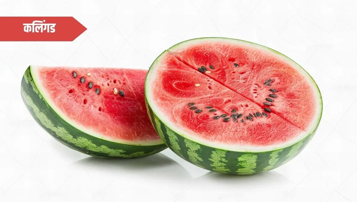 Watermelon Fruit Benefits in Marathi: कलिंगडचे आरोग्य फायदे उन्हाळ्यातील एक गोड आणि पौष्टिक साथीदार!