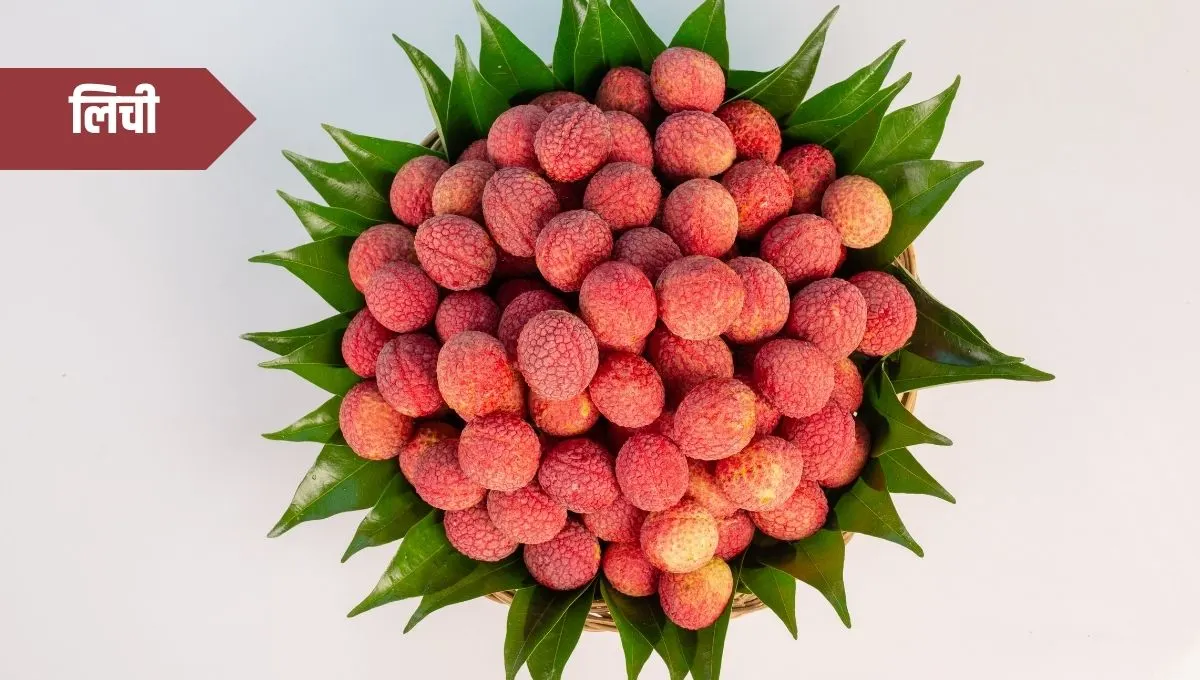 Health Benefits of Litchi: गोड आणि रसाळ लिची खा, निरोगी जीवनाचा आनंद घ्या!